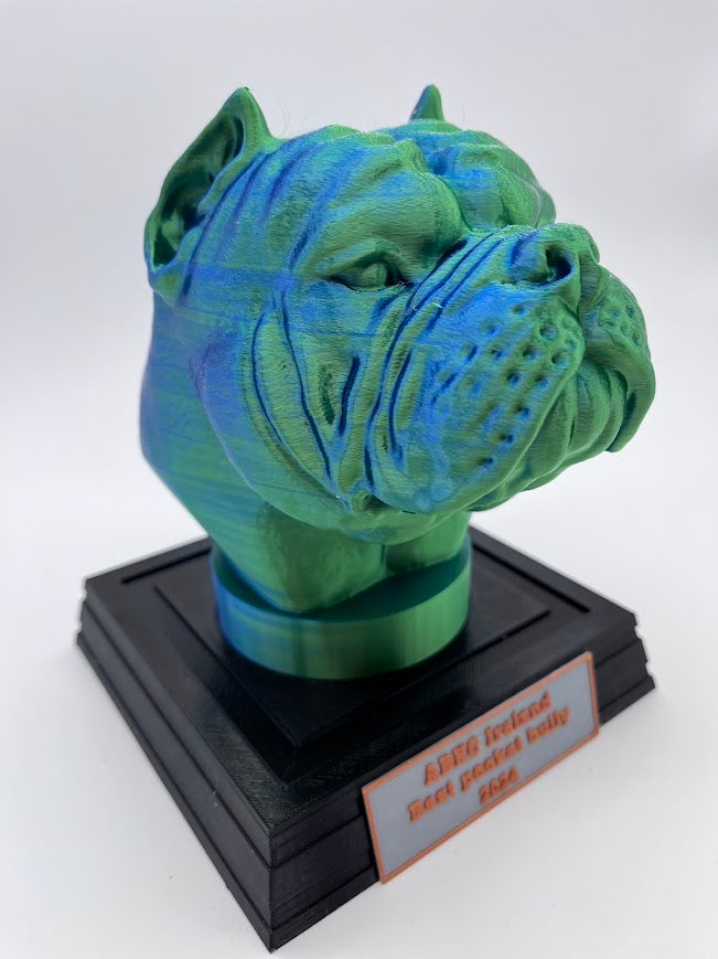 American Bully Bust Trophy, With Personalised Name Plate